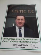 Celtic legend manager for sale  BRIGHOUSE