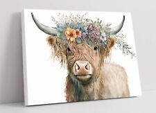Highland cow flower for sale  LONDONDERRY