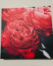Red rose wall for sale  Orlando