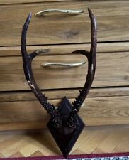 ANTIQUE ROE DEER HORNS ANTLERS HUNTING HUNTER TROPHY 1900's TAXIDERMY for sale  Shipping to South Africa
