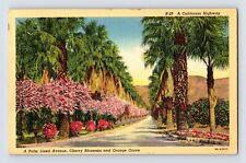 Postcard california pomona for sale  Elk Grove