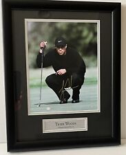 Tiger woods gold for sale  Madison