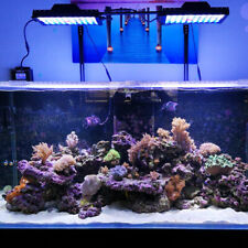 T30 led reef for sale  Hebron