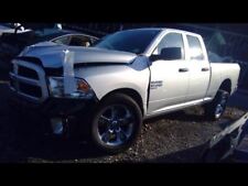 month ram old 11 for sale  Ringoes