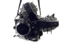 Ducati monster 695 usato  Rovigo