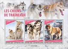 Sled dogs greenland d'occasion  Expédié en Belgium