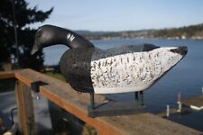 Black brant goose for sale  Lincoln City