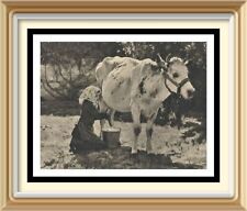 Antique print julien for sale  CANNOCK