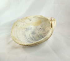 Vintage large clam for sale  Ontario