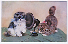 Cats listening loundspeaker for sale  Lexington