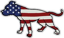 American flag pitbull for sale  New Smyrna Beach