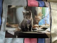 Katzen postkarten gebraucht kaufen  Wehretal