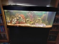 Fish tank complete for sale  WEDNESBURY