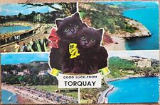 Carte postale. chat d'occasion  Miniac-Morvan