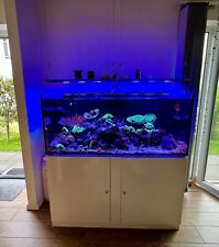 Meerwasser aquarium 500 gebraucht kaufen  Lohmar