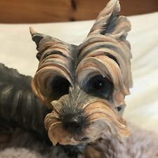 Yorkie yorkshire terrier for sale  Everett