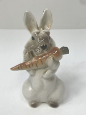 Russian lomomosov rabbit for sale  WOKING