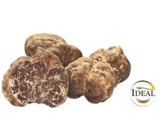 100g tartufo bianchetto usato  Acquasanta Terme