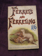Vintage ferrets ferreting for sale  LANCASTER