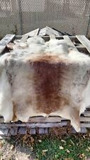 Genuine reindeer pelt for sale  Magna