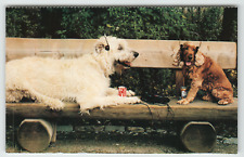 Postcard two dogs for sale  Delray Beach
