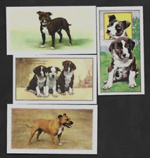4 cartões vintage diferentes de tabaco/cigarro/chá para cachorros Staffordshire Bull Terrier comprar usado  Enviando para Brazil