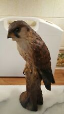 Large falcon bird for sale  RYDE