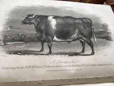 Antique print 1861 for sale  BECCLES