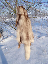 FOX FUR skin hide pelt taxidermy, used for sale  Shipping to South Africa