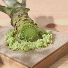 600 Japanese Horseradish Wasabi Seeds Mustard Seed Sinapis Organic Heirloom for sale  Shipping to South Africa
