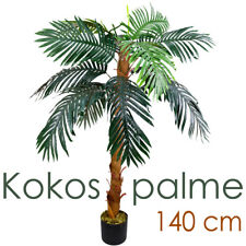 Palmier cocotier plante d'occasion  Expédié en France