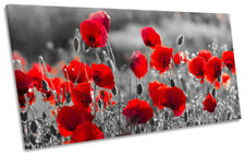Red poppies floral for sale  UK