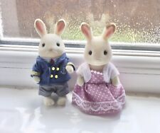 Sylvanian families chocolate for sale  Shipping to Ireland