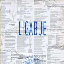 Ligabue ligabue usato  Milano