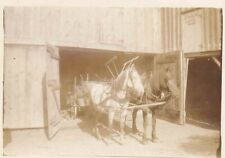 Rppc horse carriage for sale  Newport