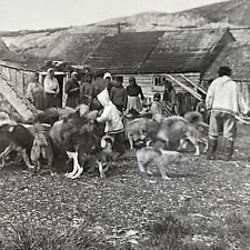 Antique 1905 inuit for sale  Niagara Falls