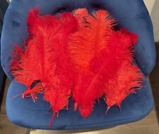 Red small ostrich for sale  NOTTINGHAM