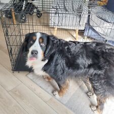 Dog crate large for sale  SUTTON COLDFIELD
