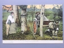 Cartão postal New Forest carrinho de burro e coletor de folhas de outono c.1906 (FGO Stuart) comprar usado  Enviando para Brazil