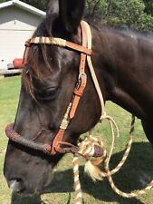 Western horse rawhide for sale  Williston