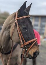 Tan bridle size for sale  EVESHAM