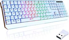 Gaming tastatur kabellos gebraucht kaufen  Westerburg
