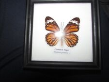 Butterfly wall hanging for sale  LUTON