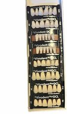 Denture teeth for sale  Mesa