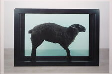 Damien hirst black for sale  Shipping to Ireland