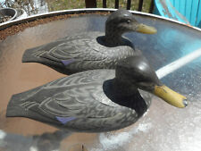 Victor black duck for sale  Stevens Point