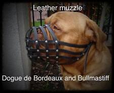 Light leather dog for sale  Shipping to Ireland