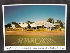 B4767 Australia WA Norseman Corrugated Iron Camels Davric postcard for sale  Shipping to South Africa