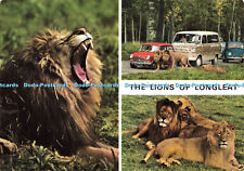 D189325 lions longleat. for sale  WARLINGHAM