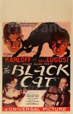 The black cat d'occasion  Soucieu-en-Jarrest